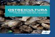 OSTREICULTURA - GitLab · 2016. 2. 15. · As ostras são animais filtradores. A água contendo seu alimento entra pelas valvas abertas e passa pelas brânquias, que funcionam como