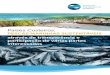 Países Costeiros - FiTIfisheriestransparency.org/wp-content/uploads/2020/11/... · 2020. 11. 9. · A FiTI é uma iniciativa global, não se concentra num único país ou região