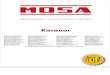 Mosa || Каталог. Описание электростанций Ge, сварочных ...MOSA, founded in 1963, is specialized in the production of high quality, professional