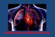 FISIOLOGIA CARDIOVASCULAR - UFJF...FISIOLOGIA CARDIOVASCULAR Coração = Bomba Vasos sanguíneos = Condutos Regulam fluxo de sangue Função Entrega de sangue para os tecidos, fornecendo