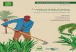 O exemplo da família de Josilene e Mizael no cultivo da horta … · 2020. 6. 2. · Ministério da Agricultura, Pecuária e Abastecimento Associação em Áreas de Assentamento