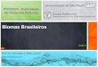 Biomas Brasileiros - University of São Paulo...FLORESTA AMAZÔNICA Maior bioma brasileiro, ocupando 49,29% do nosso território; São 4.197.000 km² e se estende por mais 9 países