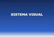 SISTEMA VISUALfisio2.icb.usp.br:4882/wp-content/uploads/2016/08/Visual... · 2017. 6. 27. · Sistema Visual . Sistema Visual Submodalidades: •Localização espacial •Intensidade