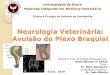 Neurologia Veterinária: Avulsão do Plexo Braquial · 2014. 12. 23. · “Neurologia Veterinária: Avulsão do Plexo Braquial” Clínica Veterinária Ani+ e Centro de Referência