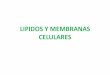 LIPIDOS Y MEMBRANAS CELULARES · 2013. 5. 23. · FOSFOLIPIDOS DE LAS MEMBRANAS CELULARES . ... Tomado de: Mathews “Bioquímica” gangliósido. LÍPIDOS DE LAS MEMBRANAS BIOLÓGICAS