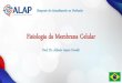 Fisiologia da Membrana Celular · 2020. 1. 6. · Por: Prof. Dr. Alfredo Inácio Fiorelli Proteínas na Membrana Celular • Transportadoras: movimento de moléculas solúveis, canais