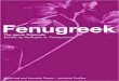 Fenugreek: The Genus Trigonella (Medicinal and Aromatic Plants - Industrial Profiles)