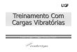 Treinamento Com Cargas Vibratóriascrossbridges.synthasite.com/resources/TCR_Vibração_2012... · 2012. 3. 30. · Treinamento Com Cargas Vibratórias Paulo Sergio Chagas Gomes,