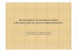 Deontología de la enseñanza online: reflexiones para su correcta … Joaquín Salamanca... · 2016. 9. 29. · diapositivas.-Es necesario mantener una misma identidad: Dimensiones