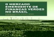 O MERCADO EMERGENTE DE FINANÇAS VERDES NO BRASIL · 2020. 7. 13. · O mercado de finanças verdes no Brasil Essa publicação foi realizada por uma equipe de consultores do projeto