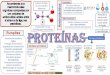 As proteí ã Essenciais macromoléculas s · 2020. 4. 1. · Aminoácidos produzidos pelo organismo São 9tipos diferentes Aminoácidos que não são produzidos pelo organismo s