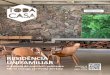RESIDÊNCIA UNIFAMILIAR - revista Toda Casarevistatodacasa.com/todacasa23.pdf · 2020. 4. 11. · UNIFAMILIAR O projeto do arquiteto pelotense Mario Orengo em Punta del Este. Pelotas: