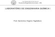 LABORATÓRIO DE ENGENHARIA QUÍMICA Isistemas.eel.usp.br/docentes/arquivos/5840921/436/Aula 1... · 2018. 8. 9. · esvaziamento de tanques e comparação com dados experimentais;