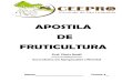 APOSTILA DE FRUTICULTURA - Ceepro · 2020. 2. 15. · frutas de alta qualidade para o Brasil, Europa e EUA. Pela diversidade de climas e solos, o Brasil apresenta condições ecológicas