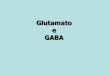 Glutamato e GABA - University of São Paulo