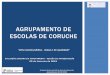 AGRUPAMENTO DE ESCOLAS DE CORUCHE -