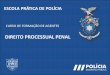 DIREITO PROCESSUAL PENAL - cld.pt
