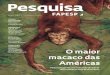 O maior macaco das Américas - FAPESP