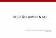 2o semestre 2019 aula Gestao ambiental Amarilis PHA 3001 