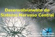 Desenvolvimento do Sistema Nervoso Central