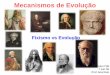 Mecanismos de Evolução