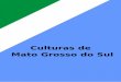 Culturas de Mato Grosso do Sul - Livros Digitais