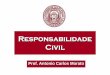 Responsabilidade Civil e Penal- Responsabilidade Civil do 