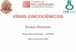 Vírus associados a tumores em humanos IARC – Carcinógenos 