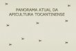 PANORAMA ATUAL DA APICULTURA TOCANTINENSE