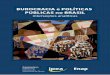 BUROCRACIA e POLÍTICAS PÚBLICAS no BRASIL