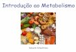 Introdução ao Metabolismo