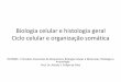 Citologia e histologia geral Ciclo celular e organização 