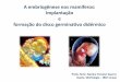 A embriogênese nos mamíferos: Implantação e formação do 