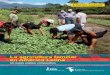 La agricultura familiar en América Latina