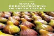 pg 83-97 manual de fruticultura figueira