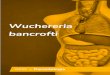 Ebook - Wuchereria bancrofti