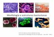 Morfologia e estruturas bacterianas