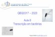 QBQ0317 –2020 Aula 8 Transcrição em bactérias