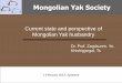 Current state and perspective of Mongolian Yak Society Dr 