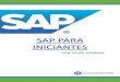 SAP PARA INICIANTES - Planning IT Technology