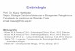 Embriologia - Moodle USP: e-Disciplinas