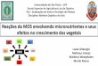 Reações da MOS envolvendo micronutrientes e seus efeitos 