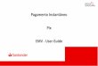 Pagamento Instantâneo Pix EMV - User Guide