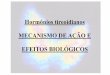 Hormônios tireoidianos MECANISMO DE AÇÃO E EFEITOS …