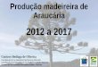 Produção madeireira de espécies nativas brasileiras 2012 a 
