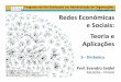 PPGAO – FEARP – USP Redes Econômicas e Sociais: Teoria e 