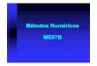 Métodos Numéricos ME67B