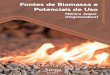 Fontes de Biomassa e Potenciais de Uso
