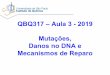 QBQ317 –Aula 3 -2019 Mutações, Danos no DNA e Mecanismos 