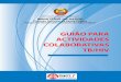 GUIÃO PARA ACTIVIDADES COLABORATIVAS TB/HIV
